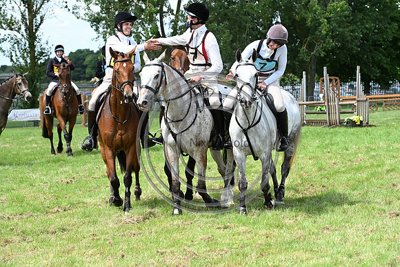 Festival of Hounds 2024