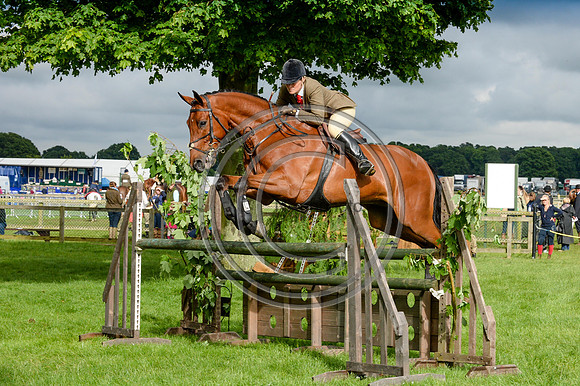 HorseNo270_SuffolkShow14pn_4933
