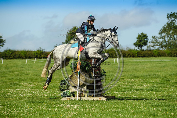HorseNo60_Burgham_20PN_82093