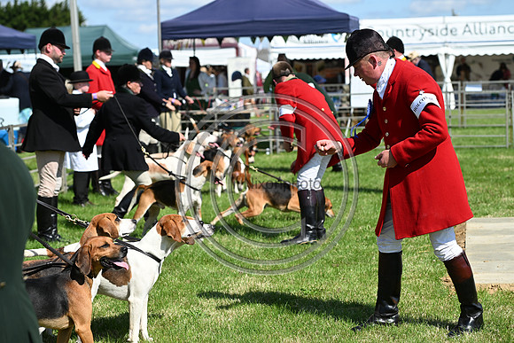 Festival of Hounds 2024