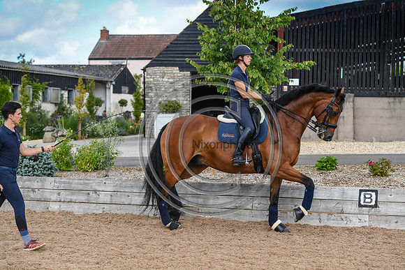 Collective Equestrian