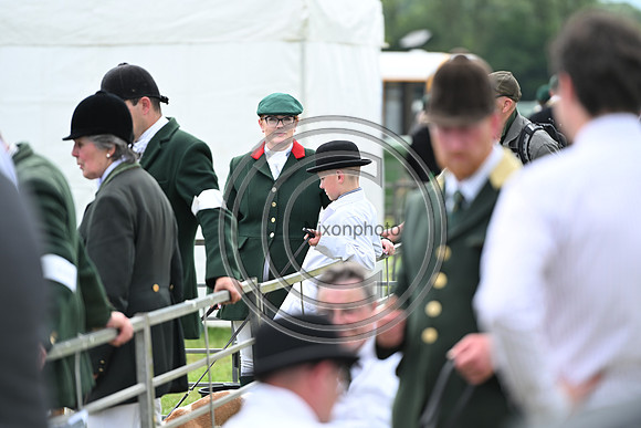 Festival of Hounds 2024