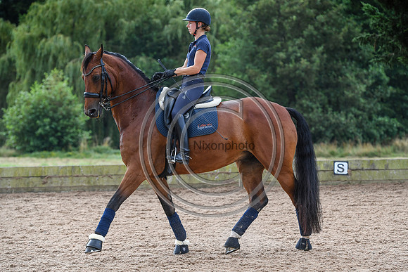 Collective Equestrian