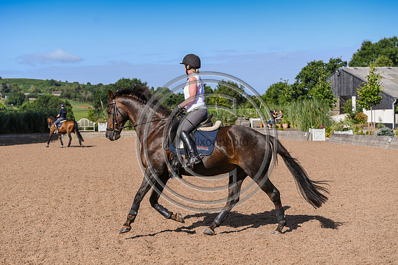 Collective Equestrian