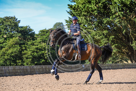 Collective Equestrian