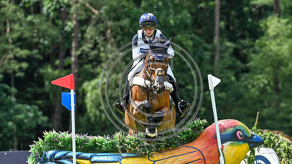 Laura Collett_London 52_LuhmühlenHT_PN24_145494