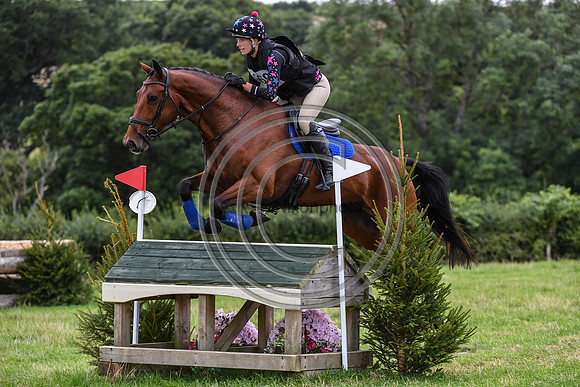 HorseNo969_Burgham_20PN_90910