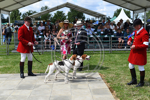 Festival of Hounds 2024