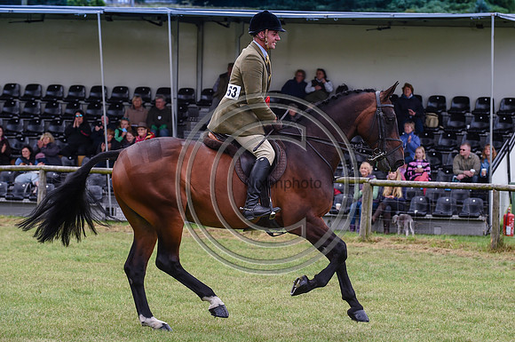 HorseNo153_Bakewell15pn_31407