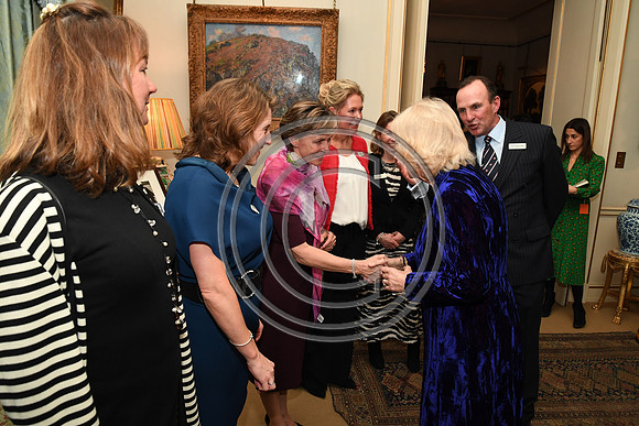 DUCHESS OF CORNWALL_BEF_PN22_10972