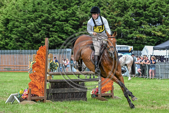 Festival of Hounds 2024