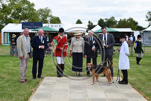 Festival of Hounds 2024