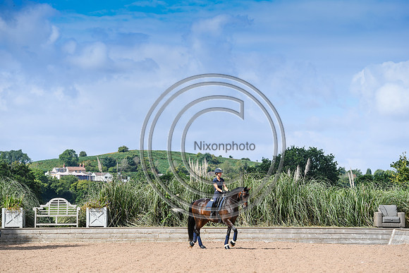 Collective Equestrian