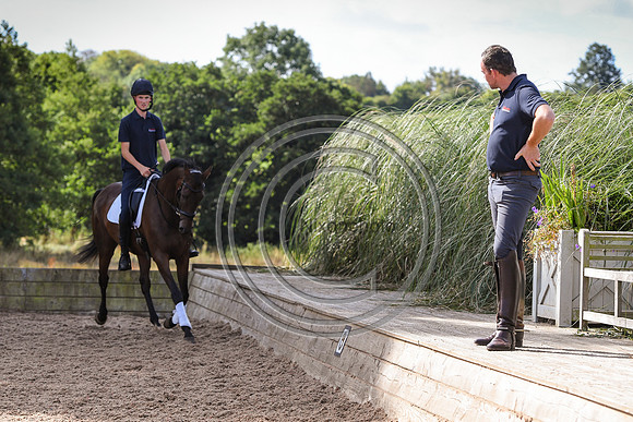 Collective Equestrian