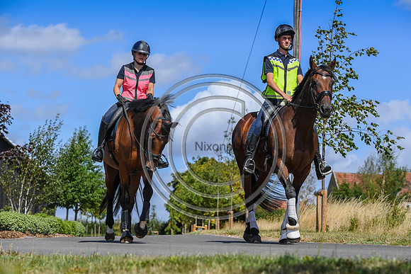 Collective Equestrian