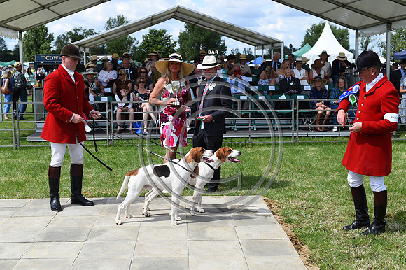 Festival of Hounds 2024