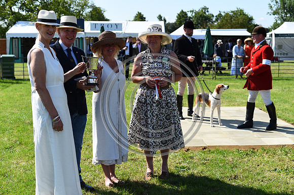 Festival of Hounds 2024