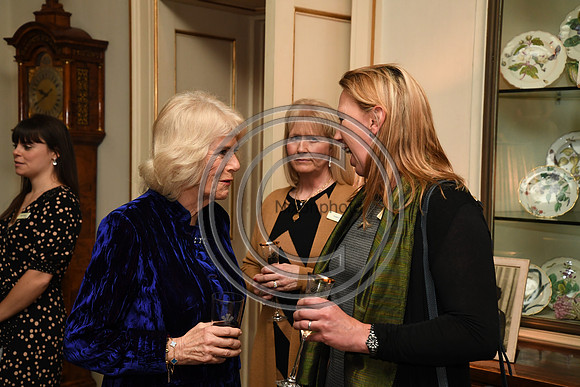 DUCHESS OF CORNWALL_BEF_PN22_10964
