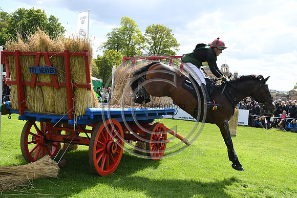 Mitsubishi Motors Badminton Horse Trails 30 04 19