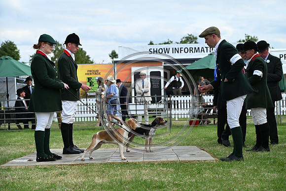 Festival of Hounds 2024