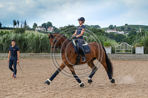 Collective Equestrian
