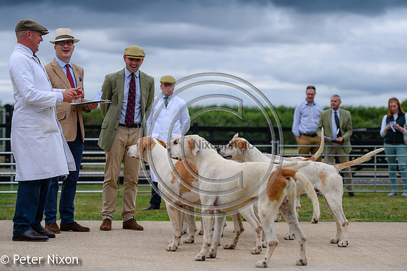 PrePuppyShow_BWCH_Hunt_PN22_27456