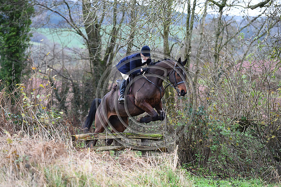 Ludlow_Hunting_94