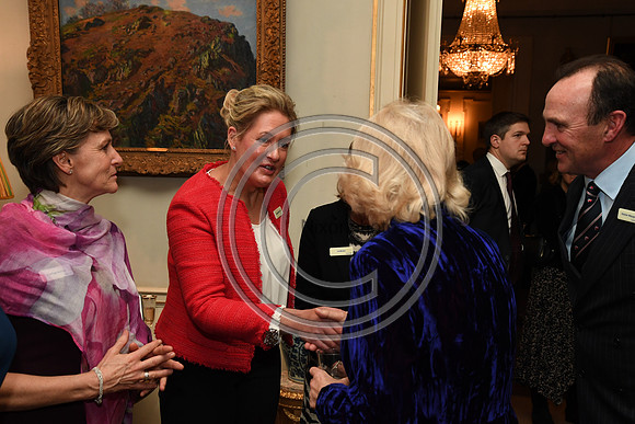 DUCHESS OF CORNWALL_BEF_PN22_10968