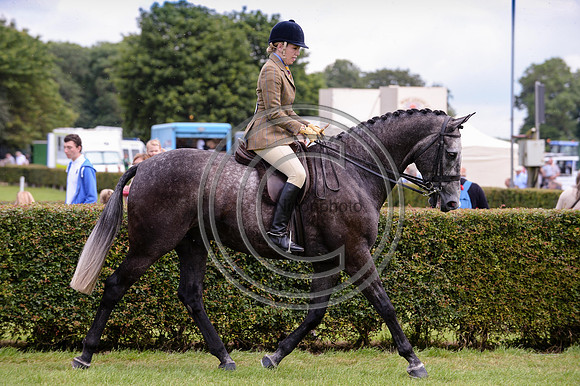 HorseNo130_LincolnShow14pn_7575