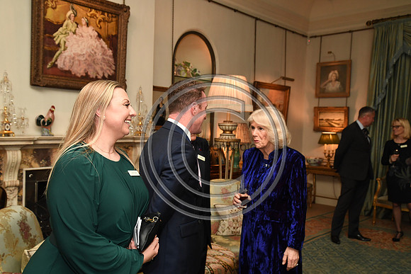 DUCHESS OF CORNWALL_BEF_PN22_11056