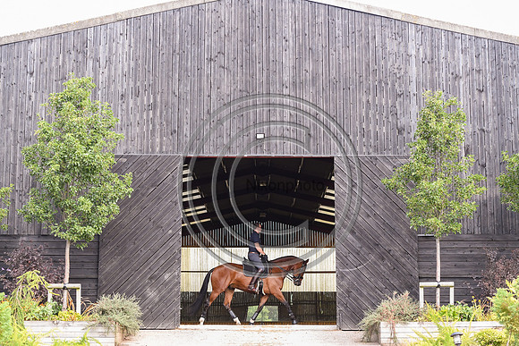 Collective Equestrian