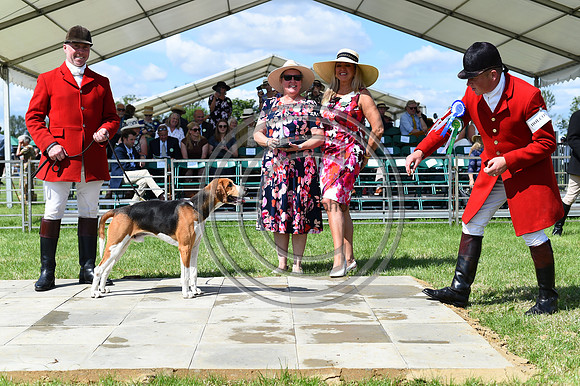 Festival of Hounds 2024