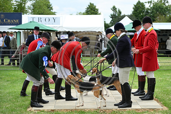Festival of Hounds 2024