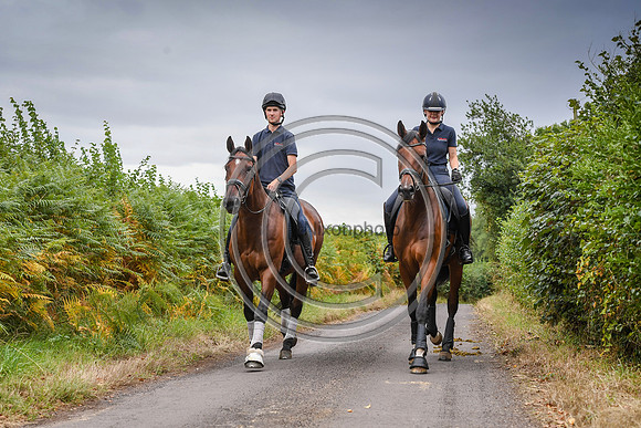 Collective Equestrian