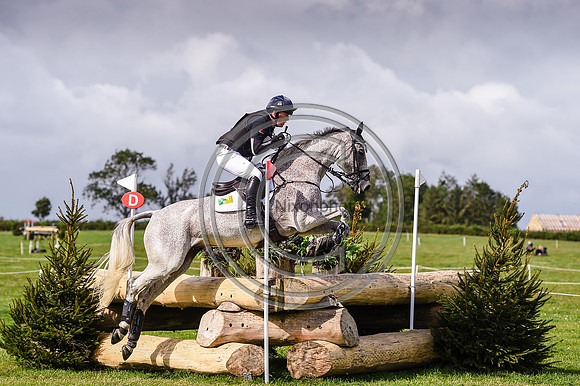 HorseNo738_Burgham_20PN_90454