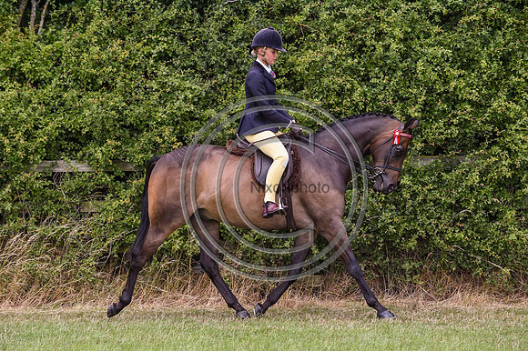 HorseNo1054_ShowRegSGS15pn_28563