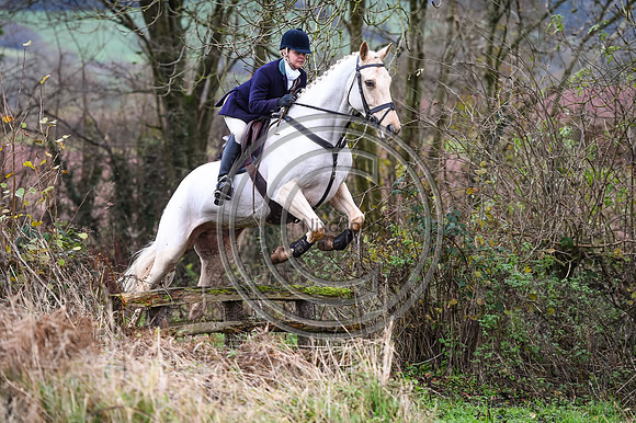Ludlow Hunts