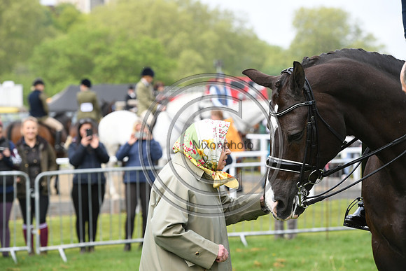 Valegro_RWHS_PN19_12956