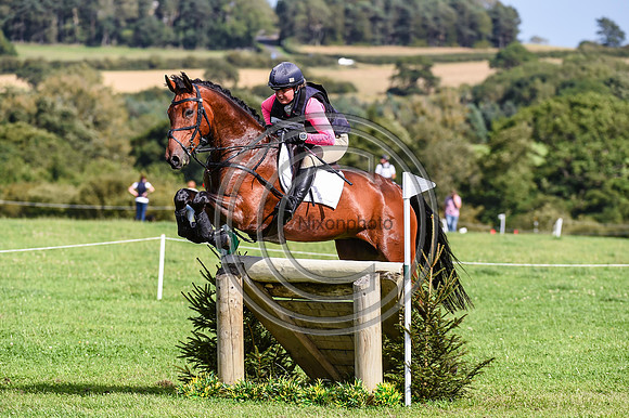 HorseNo317_Burgham_20PN_82066