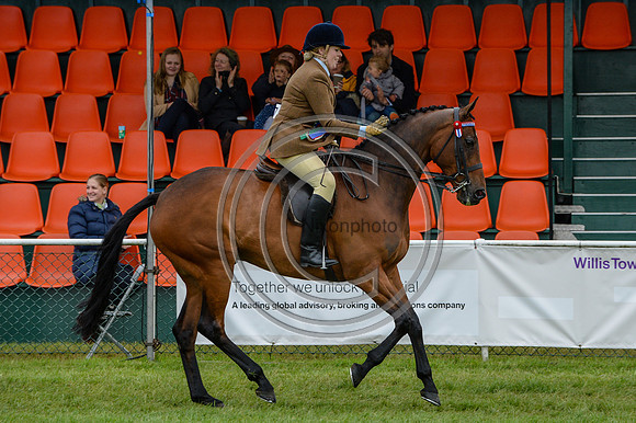 HorseNo377_SuffolkShow16pn_11209