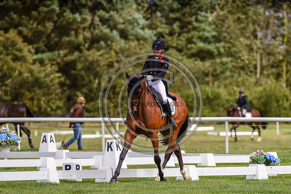 HorseNo874_Burgham_20PN_84624