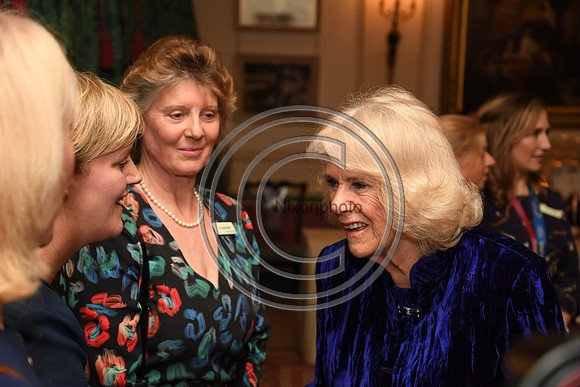 DUCHESS OF CORNWALL_BEF_PN22_10706