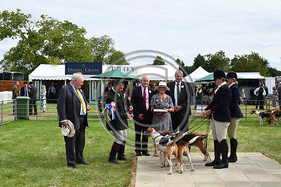 Festival of Hounds 2024