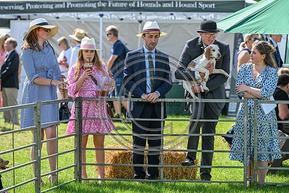 Festival of Hounds 2024