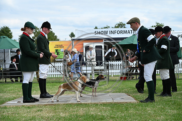 Festival of Hounds 2024