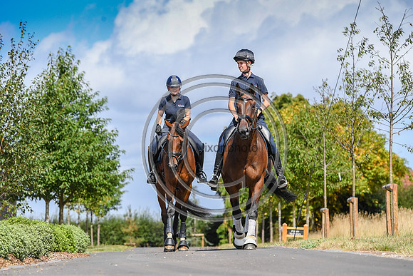 Collective Equestrian