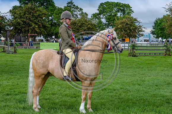 HorseNo1076_SuffolkShow14pn_4930