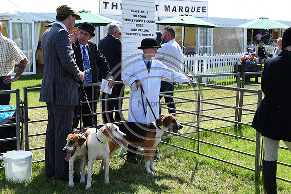 Festival of Hounds 2024
