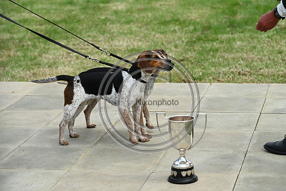 Festival of Hounds 2024