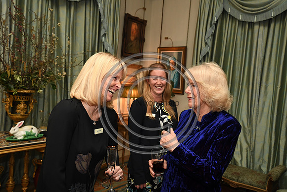 DUCHESS OF CORNWALL_BEF_PN22_10722